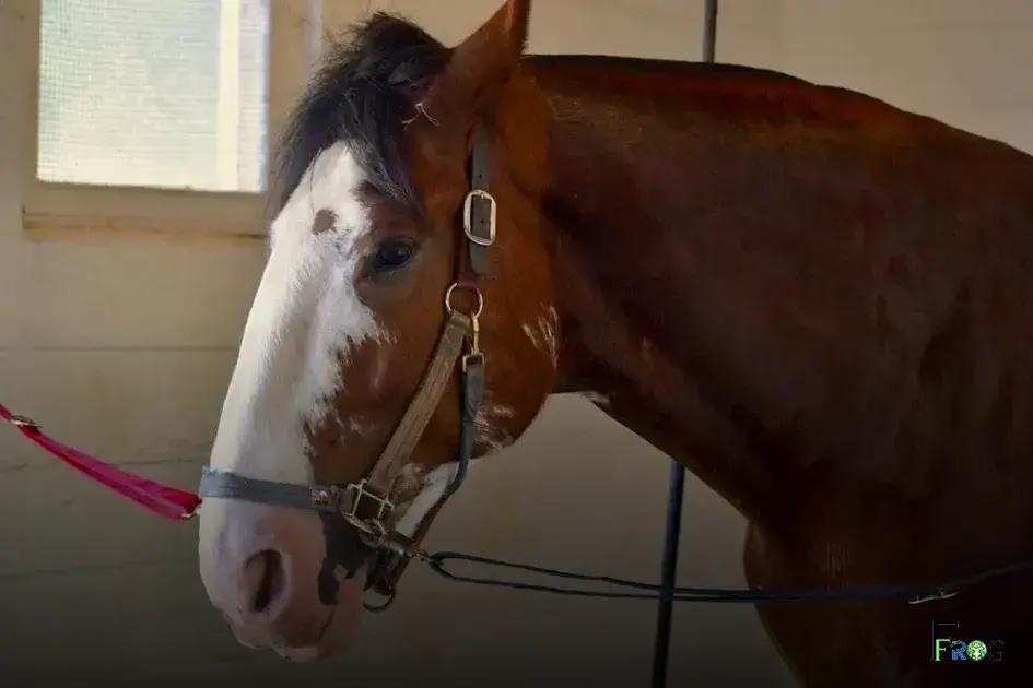 Top Life Insurance Providers