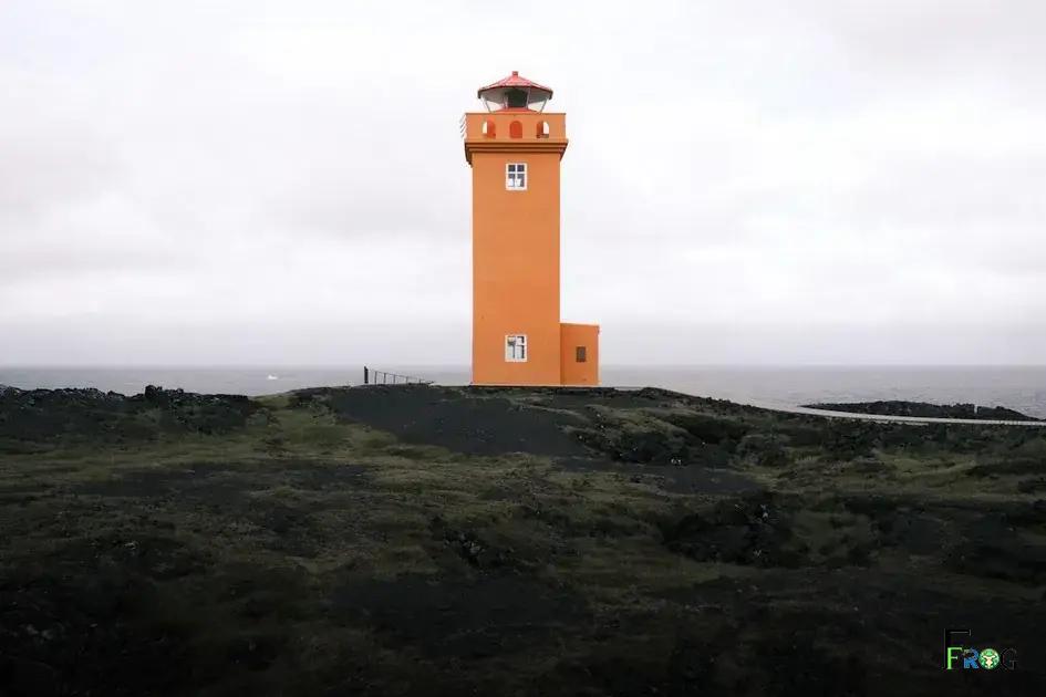 Top Savings Accounts with Highest Interest Rates