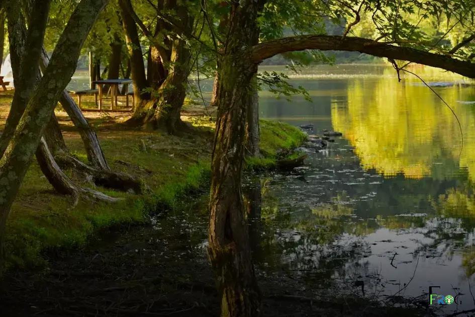 Tipps zur optimalen Nutzung Ihrer Reisekreditkarte